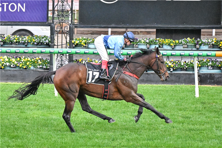 BASILINNA winning the Andrew Ramsden at Flemington in Australia.