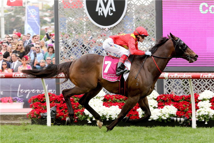 BEAST MODE winning the Strathmore Community Bendigo Bank Imperatriz Sprint