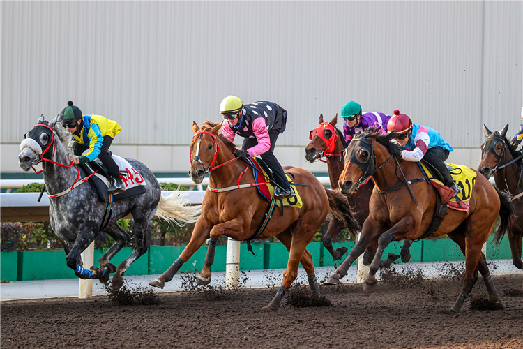 Beauty Eternal finishes third to Find My Love in today’s trial.