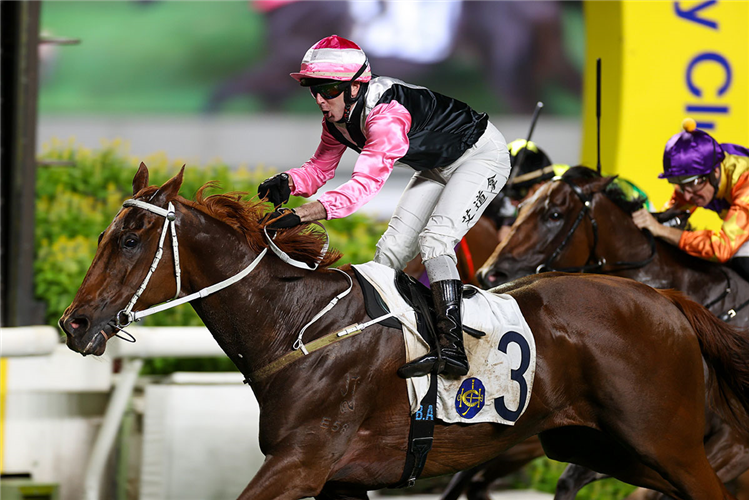 BEAUTY JOY winning the THE PREMIER PLATE (HANDICAP)