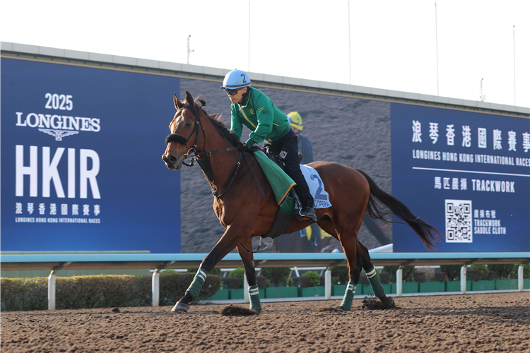 BELLAGIO OPERA - LONGINES Hong Kong International Races Monday Trackwork