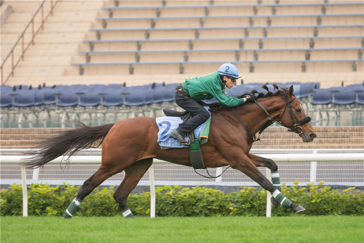 BELLAGIO OPERA - LONGINES Hong Kong International Races Trackwork