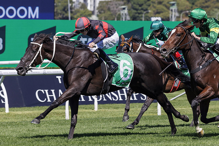 BELLE DETELLE winning the TAB ADRIAN KNOX STAKES