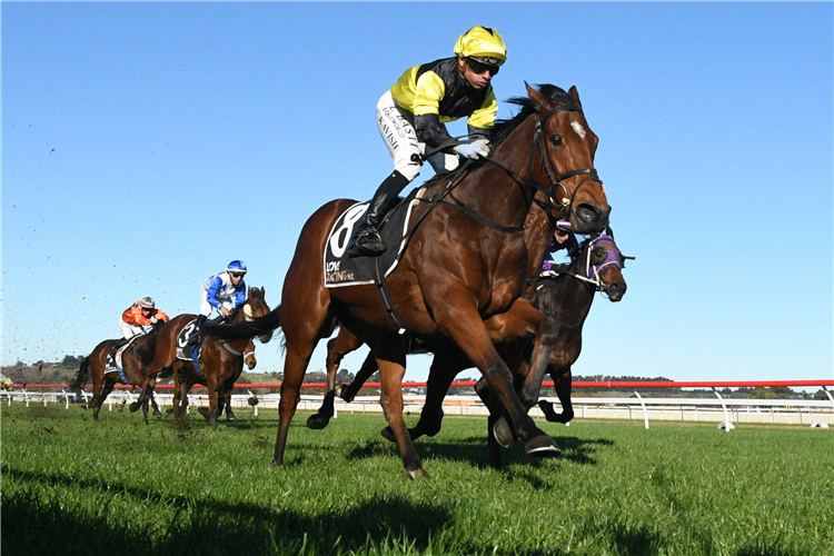 BELLES BEAU winning the LOADERS CIVIL OPN