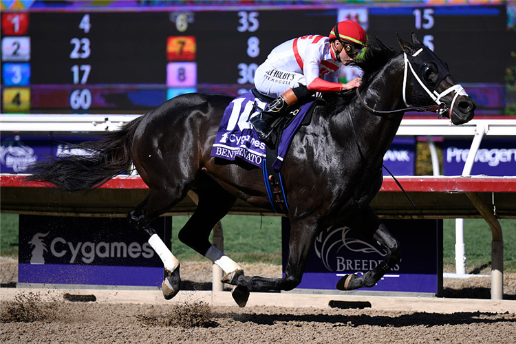 BENTORNATO winning the Breeders' Cup Sprint at Del Mar in California.