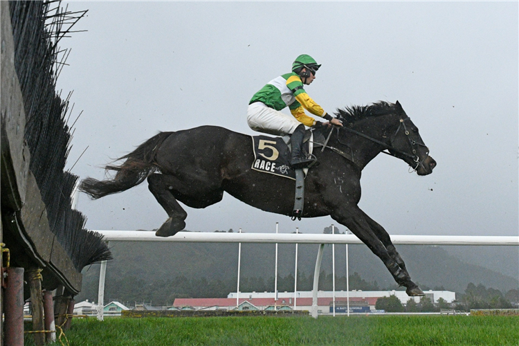 BILLY BOY winning the MANAWATU ITM MANAWATU HURDLES