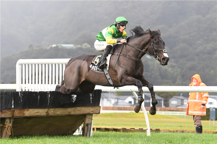 BILLY BOY winning the AZTECH ENGINEERING WELLINGTON HURDLE