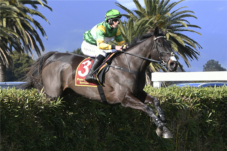 BILLY BOY winning the APPARELMASTER WAIKATO