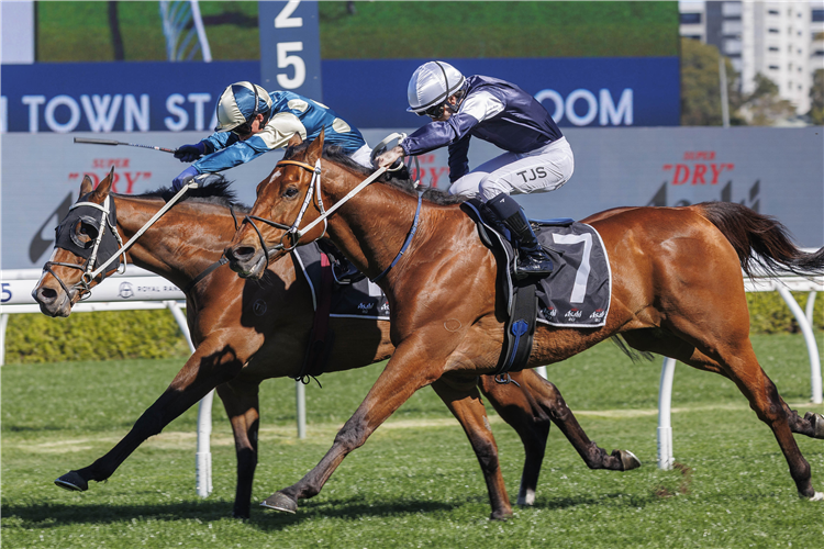 BIRDMAN winning the ASAHI SUPER DRY KINGSTON TOWN STAKES