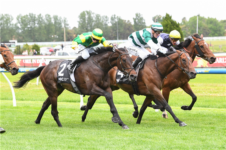 「布莱克快跑」