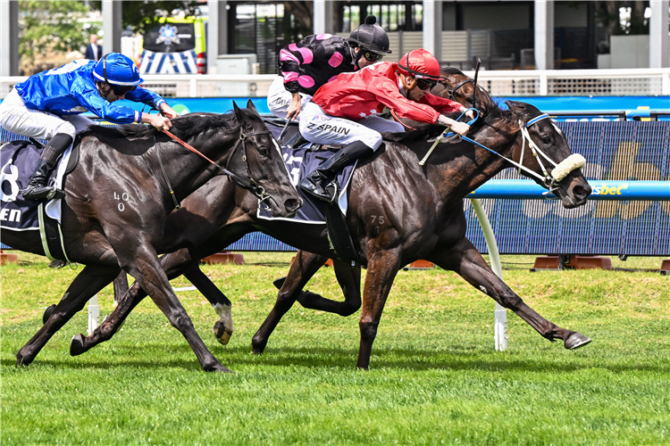 BLINDEDBYTHELIGHT winning the SEN Handicap at Caulfield in Australia.
