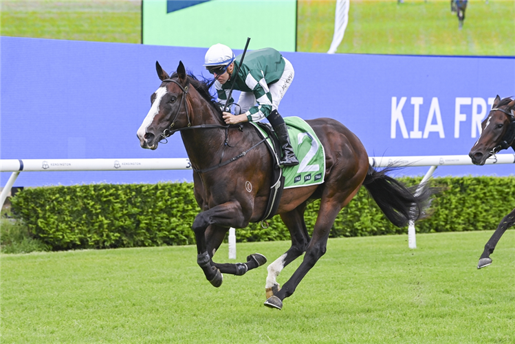 BLUE VEIN winning the Tab Plate Randwick Kensington in Australia.