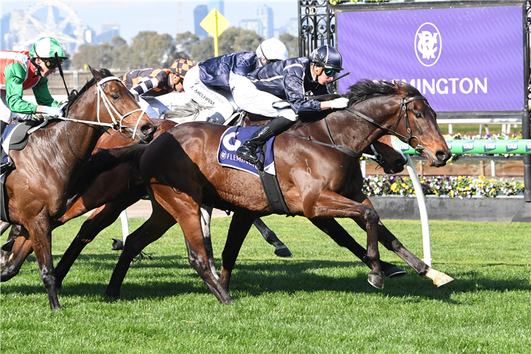 BOLD SOUL winning the 25/26 VRC Membership Renewals Open at Flemington in Australia.