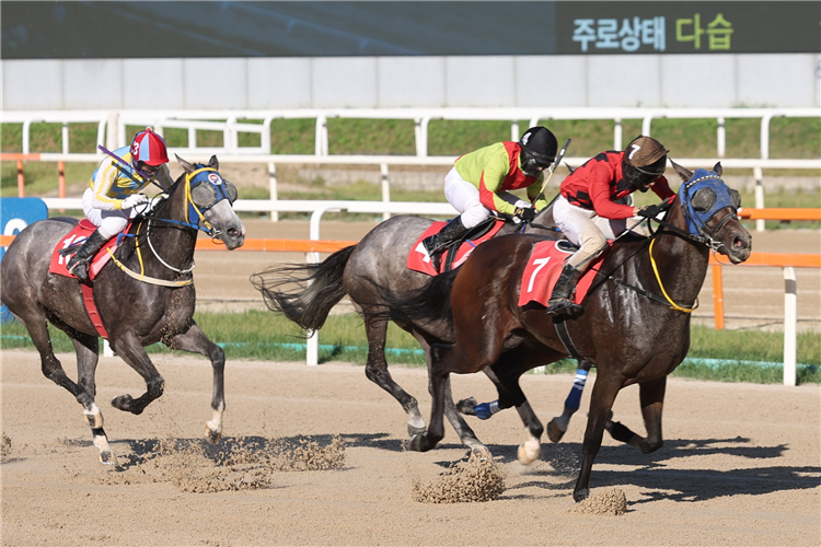 BORYEONGLIGHTQUEEN winning the Class Open Special Weight A