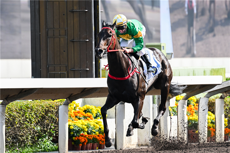 BOTTOMUPTOGETHER winning the KOWLOON BAY HANDICAP