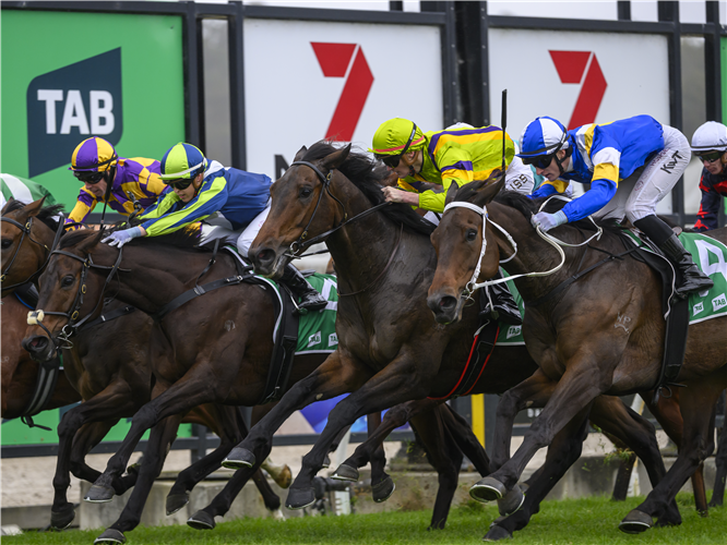 BOYS NIGHT OUT (centre, lime colours) winning the Bishopp Handicap