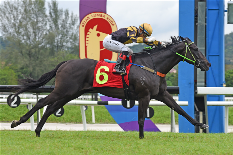 BRANSOM winning the Race 9 (677)