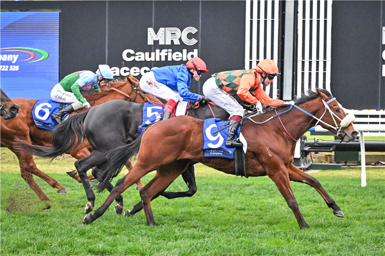 BRIDAL WALTZ winning the The Big Screen Company Bletchingly Stakes at Caulfield in Australia.
