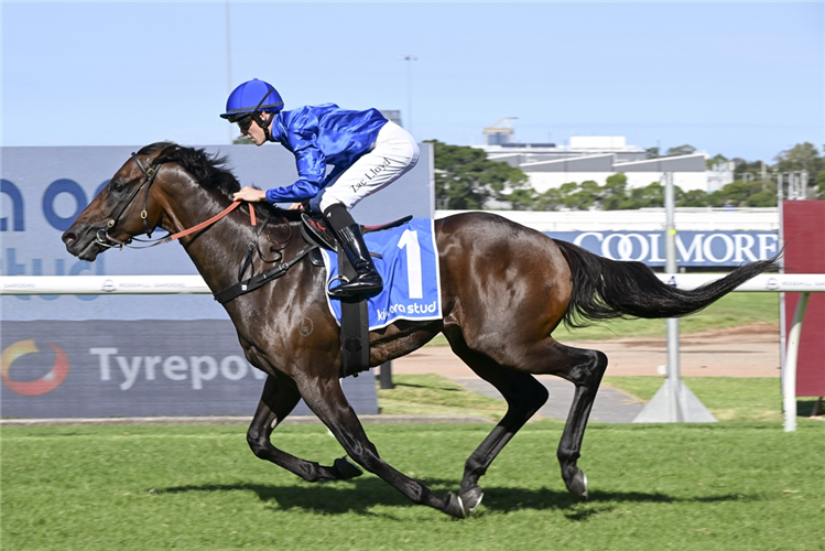 BROADSIDING winning the KIA ORA HOBARTVILLE STAKES at Rosehill in Australia.