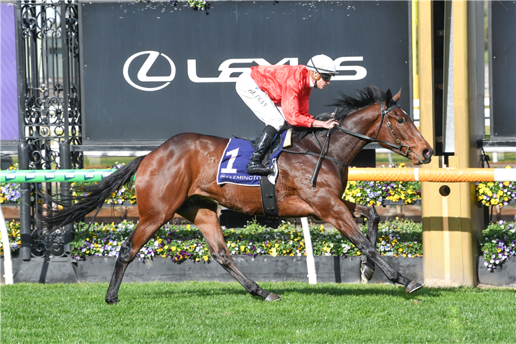 BUCCLEUCH winning the Taj Rossi Series Final at Flemington in Australia.