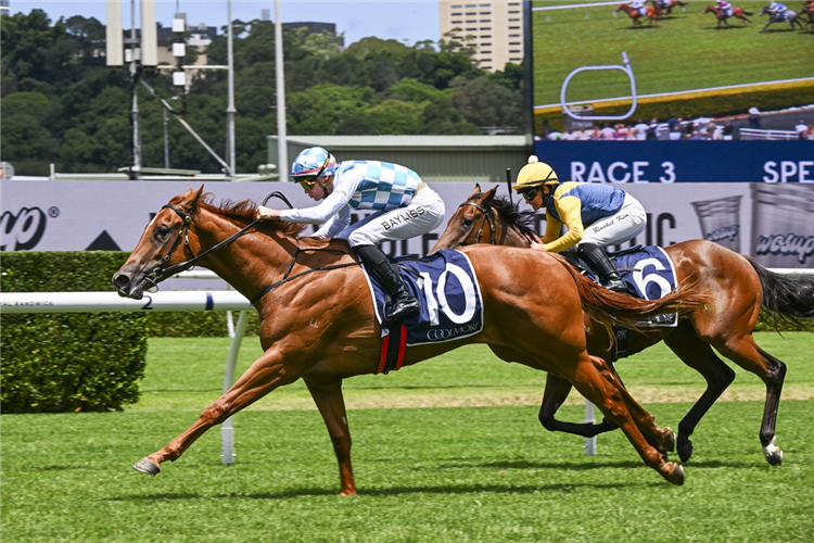 「出于选择」夺冠Spelling At <a href=