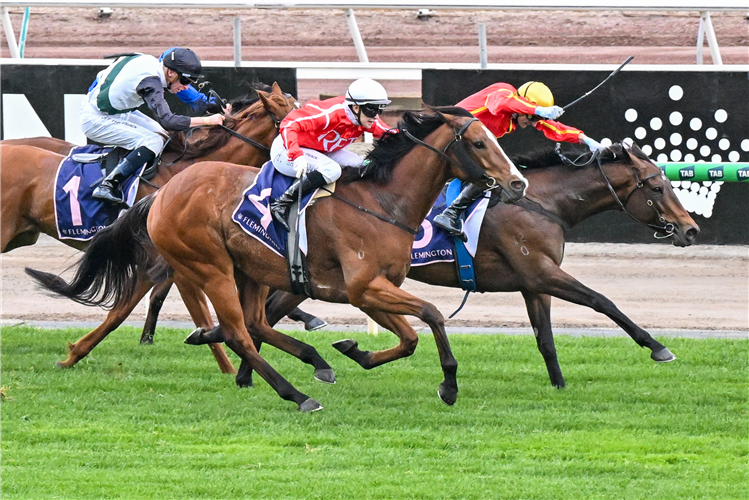 CAFE MILLENIUM winning the Tontonan Stakes at Flemington in Australia.