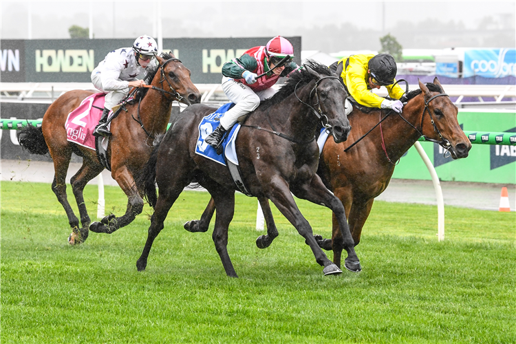 CALAMARI RING (red cap) winning the Inglis Banner at Flemington in Australia.