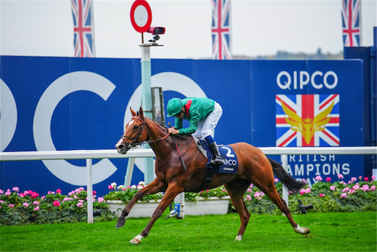 CALANDAGAN winning the Champion Stakes at Ascot in England.