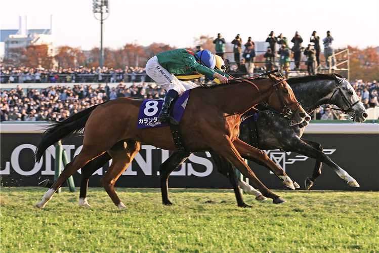 CALANDAGAN winning the The Japan Cup