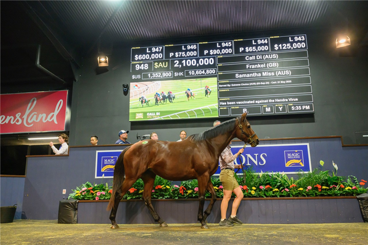 Call Di sold for $2.1m at Magic Millions.