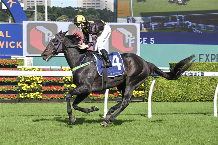 CASUAL CONNECTION winning the PF CIVIL HANDICAP at Randwick in Australia.