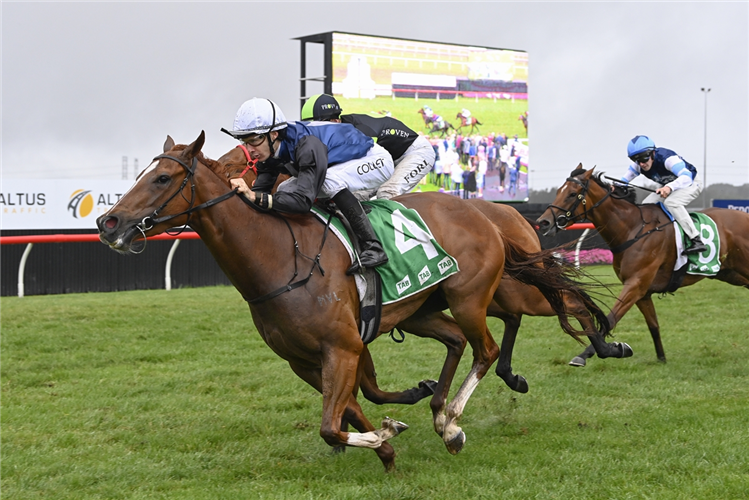 CATCH THE GLORY winning the MCR THE WARRA at Kembla Grange in Australia.