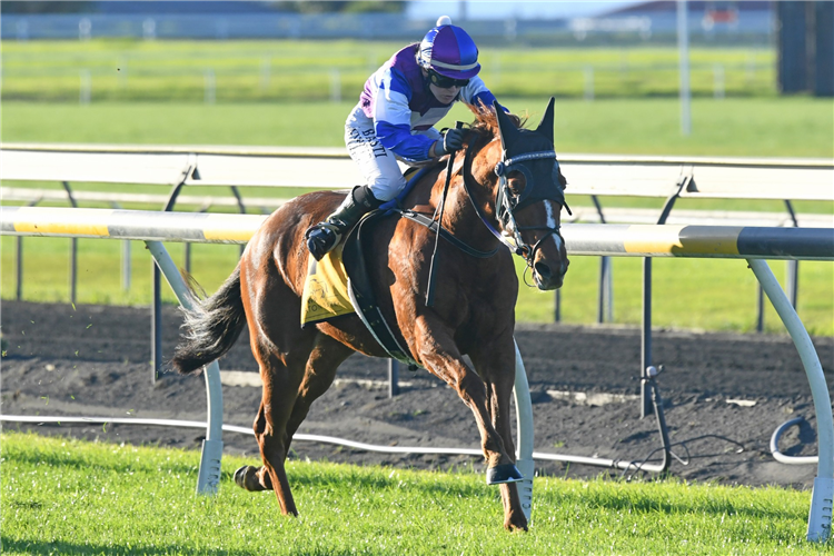 CHAJABA winning the SEATON PARK