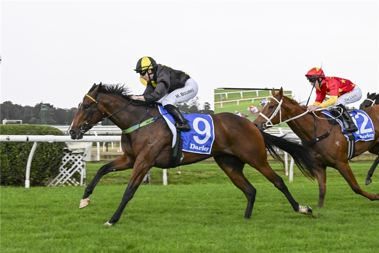 CHANGE MY ADDRESS winning the DARLEY HANDICAP at Warwick Farm in Australia.