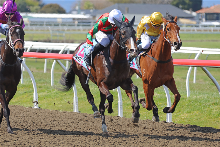 CHART THE STARS winning the HOULT CONTRACTORS & CROWLEY FORGE MASTER FARRIERS LTD
