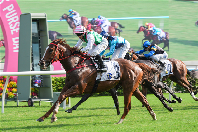 CIRCUIT GRAND SLAM winning the CANMAKE TOKYO HANDICAP