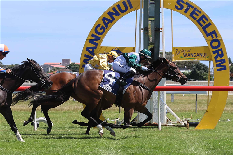 CIRCUS DANCER winning the THE O'LEARYS FILLIES STAKES