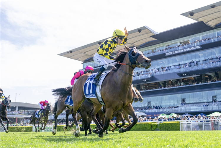 CLEAR THINKING winning the THE KOSCIUSZKO at Randwick in Australia.