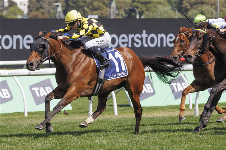 CLEAR THINKING winning the THE KOSCIUSZKO at Randwick in Australia.