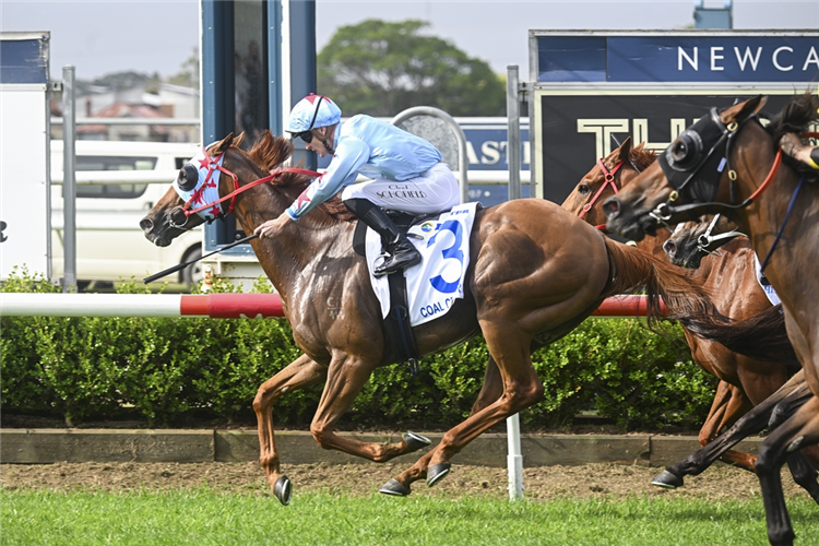 COAL CRUSHER winning the THE NEWCASTLE HERALD HUNTER at Newcastle in Australia.