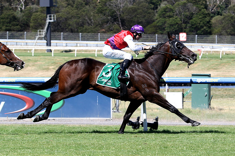 COASTWATCH winning the Evergreen Turf John Dillon Stakes