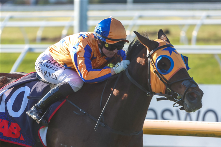 COGNITO winning the JOIN TAB RACING CLUB OPEN