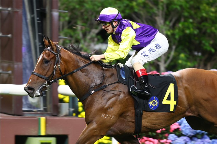 COLOURFUL KING winning the THE HONG KONG CHINA RUGBY CUP (HANDICAP)