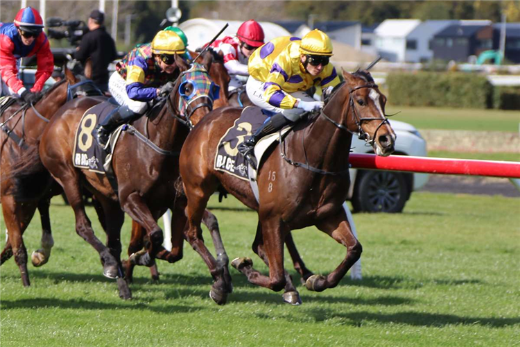 COMEDY winning the MANAWATU TOYOTA & JOHN TURKINGTON FORESTY LTD