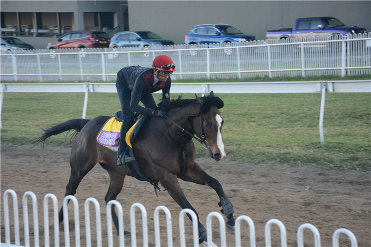 Common Grounds  at trackwork
