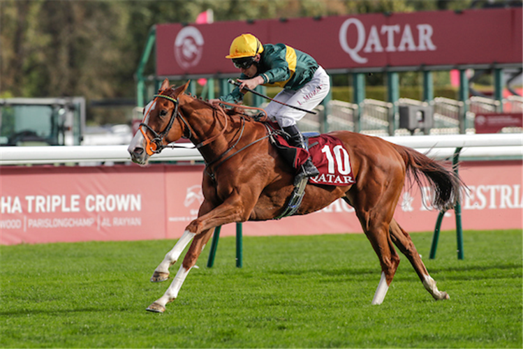 CONSENT winning the Prix De Royallieu at Longchamp in France.