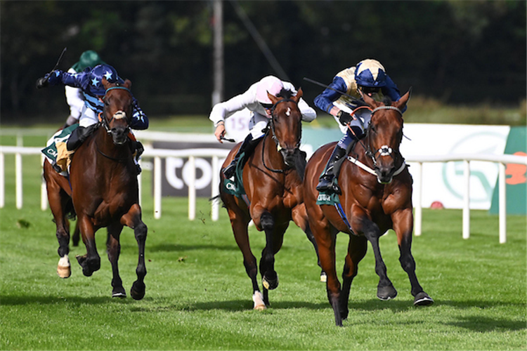 CONVERGENT winning the CMG Group Stakes at Leopardstown in Ireland.
