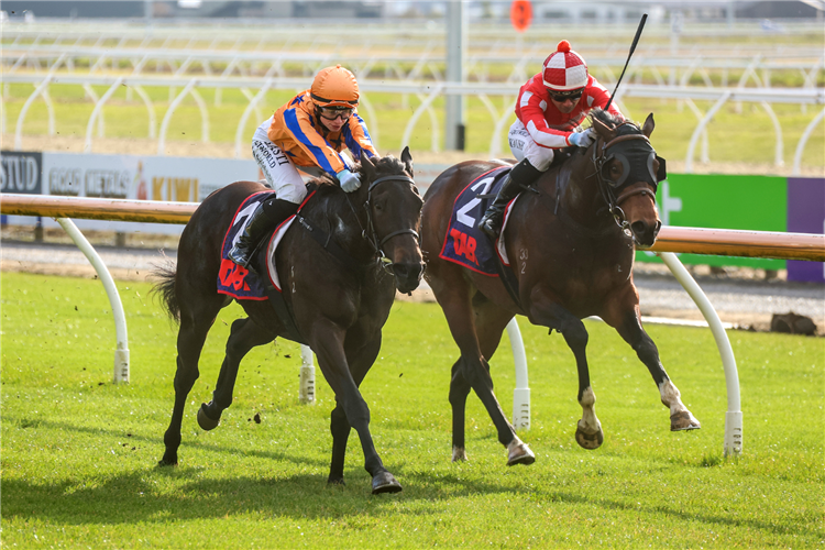 COOL AZA RENE (outside) winning the BAIN MCCALL MEMORIAL TWO-YEAR-OLD