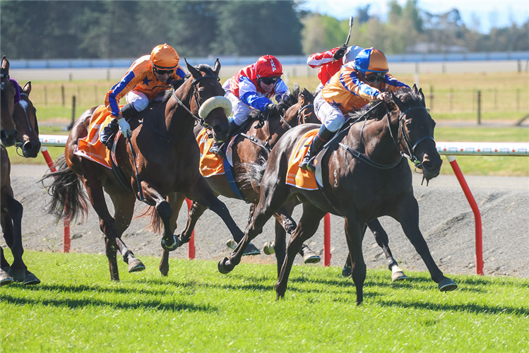 COOL AZA RENE winning the BARNESWOOD FARM STAKES