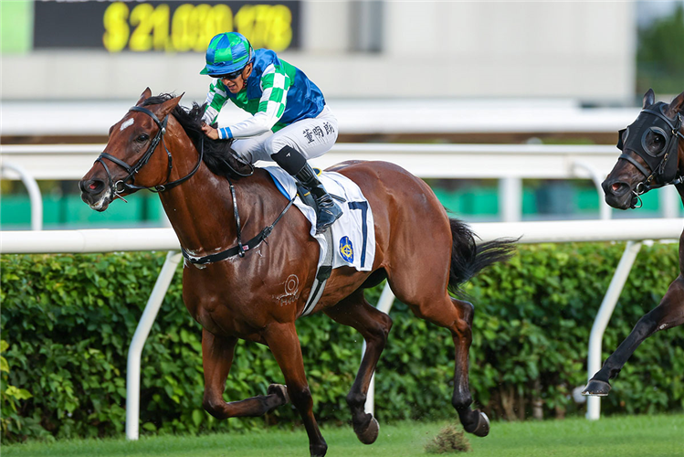 COPARTNER PRANCE winning the THE PREMIER CUP (HANDICAP)